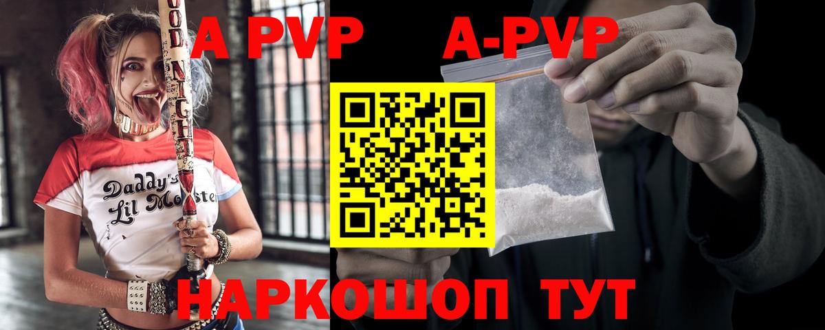 A PVP СК КРИС Вологда