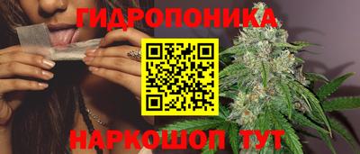 молекула духа Ставрополь