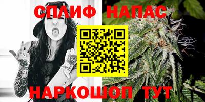 молекула духа Ставрополь