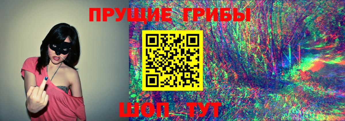 Псилоцибиновые грибы Cubensis Вологда