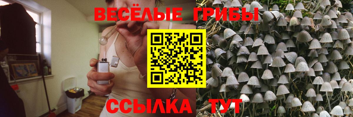 Псилоцибиновые грибы GOLDEN TEACHER  Вход с VPN  Вологда 
